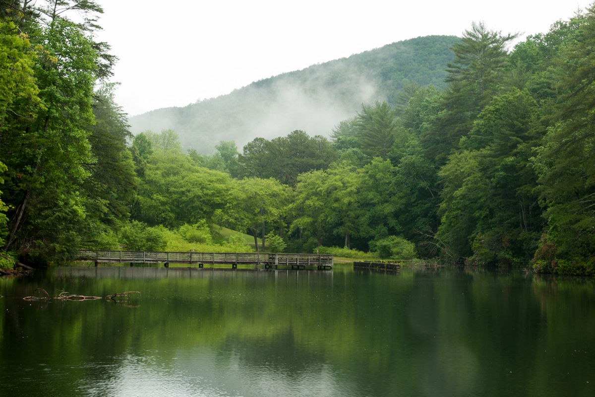 Unicoi State Park, Helen Georgia - Foggy Morning